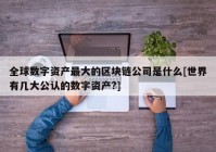 全球数字资产最大的区块链公司是什么[世界有几大公认的数字资产?]